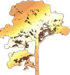 Golden Tree logo